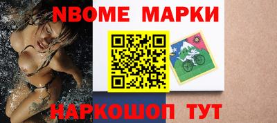 кокс Донской