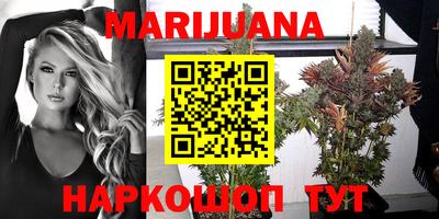 кокс Донской