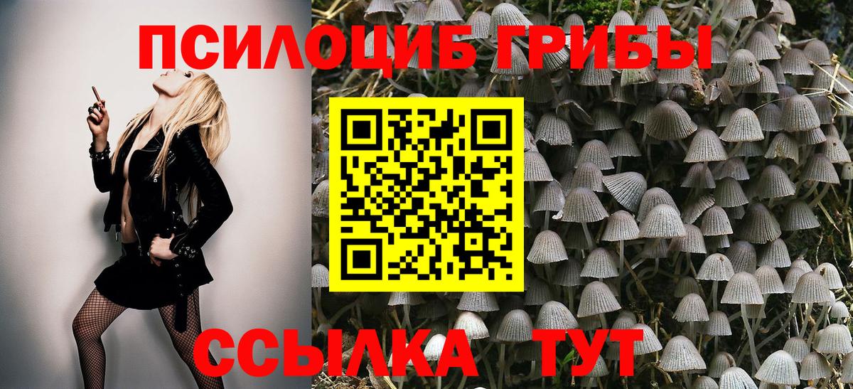 Галлюциногенные грибы прущие грибы  Вход с VPN  Галлюциногенные грибы Psilocybine cubensis  Надым 