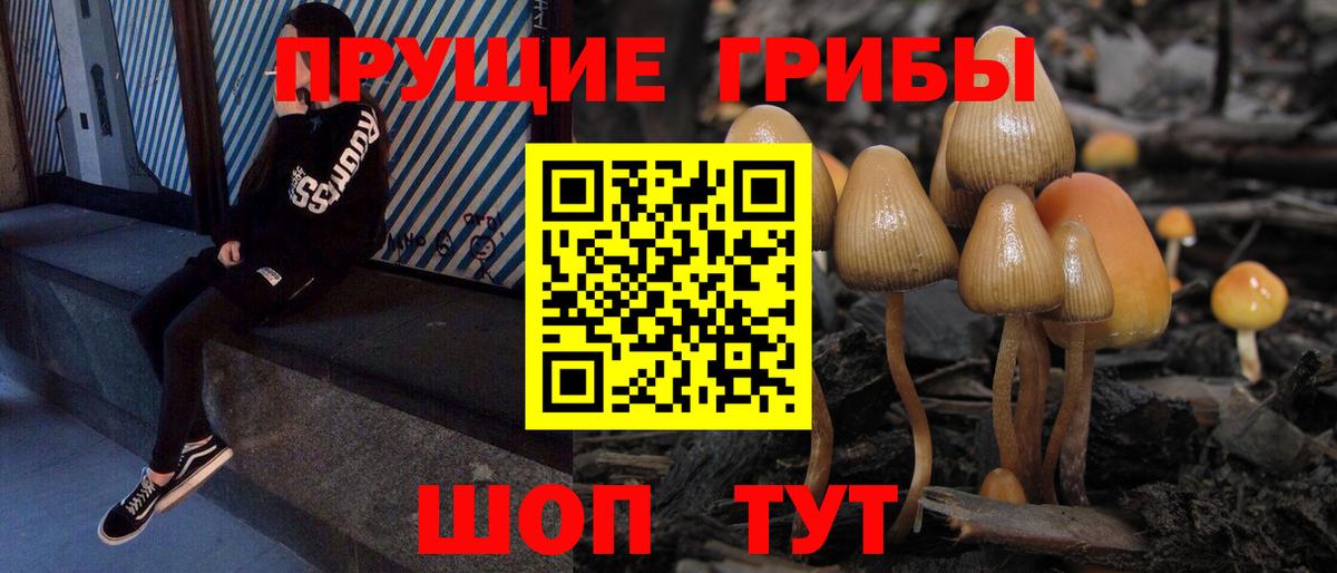 Галлюциногенные грибы мицелий Надым